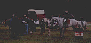 Reiterwettbewerb 1996